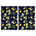 thumbnail image 1 of Lemon Kitchen Towels Set Of 2, Absorbent and Soft Dish Towels for Farmhouse Decor, Country Kitchen., 1 of 3