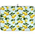 thumbnail image 1 of Lemon Lemons Dish Drying Mat for Kitchen Counter, Absorbent Reversible Microfiber Dishes Pad Reusable Washable Dish Drainer Rack Mats, 16 Inch x 18 Inch, 1 of 6