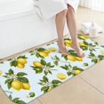 Lemon and Lime Blue Pattern Non-Slip Bath Mat, Entryway Door Rug with ...