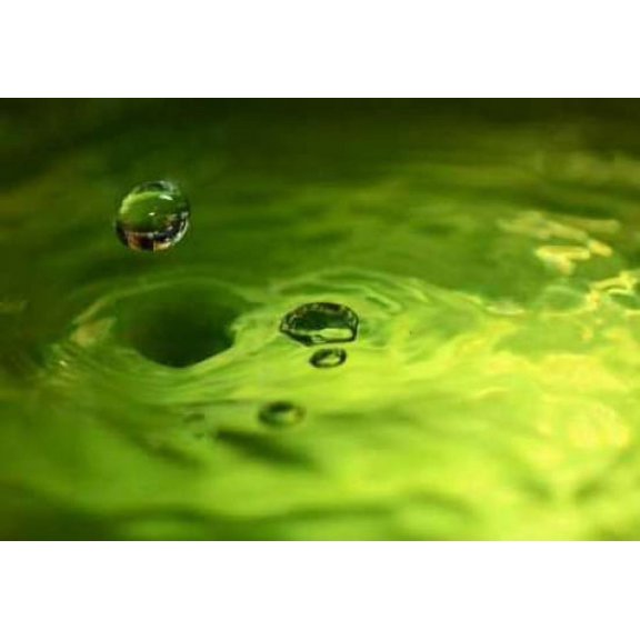Lemon Lime Drop I Canvas Art - Tammy Putman (12 x 18)