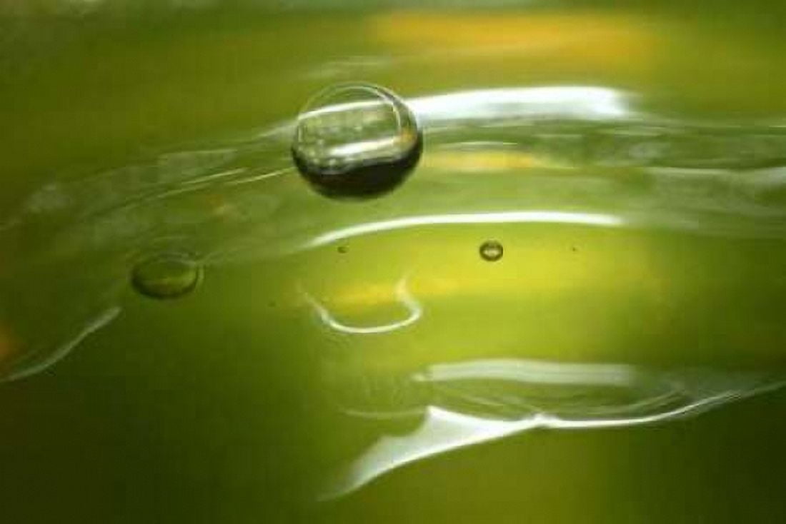 Lemon Lime Drop II Canvas Art - Tammy Putman (24 x 36)