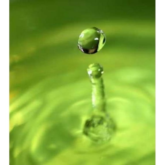 Lemon Lime Drop III Poster Print by Tammy Putman (12 x 12)