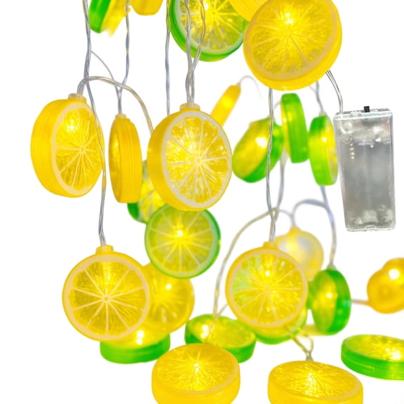 Lemon Lime Slice Fairy String Lights 5 Foot 10 Led Battery Operated String Lights for Home Bedroom Party Decoration
