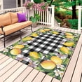thumbnail image 1 of Lemon Outdoor Rug for Patio/Deck/Porch, Non-Slip Large Area Rug 3 x 5 Ft, Black Plaid Check Yellow Fruit Flower Floral Indoor Outdoor Rugs Washable Area Rugs, Reversible Camping Rug Carpet Runner, 1 of 8