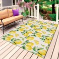 thumbnail image 1 of Lemon Outdoor Rug for Patio/Deck/Porch, Non-Slip Large Area Rug 5 x 8 Ft, Farmhouse Fruit Rustic Country Summer Plant Indoor Outdoor Rugs Washable Area Rugs, Reversible Camping Rug Carpet Runner, 1 of 8