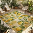 thumbnail image 1 of Lemon Outdoor Rug for Patio/Deck/Porch, Non-Slip Large Area Rug 5 x 8 Ft, Farmhouse Vintage Summer Retro Fruits Yellow Brown Indoor Outdoor Rugs Washable Area Rugs, Camping Rug Carpet Runner, 1 of 8