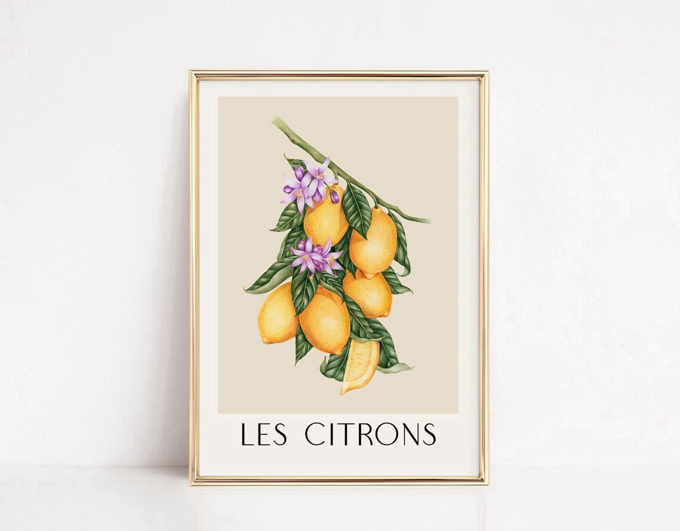 Lemon Poster Les Citrons Vintage Lemons Fruit Yellow Kitchen wall art ...