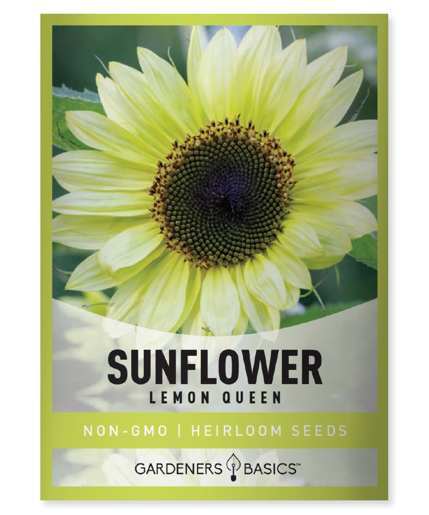 Lemon Queen Sunflower Seeds - Walmart.com