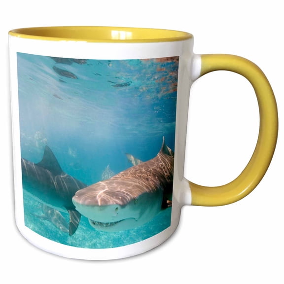 3drose, Lemon Shark, Northern Bahamas - Na02 Sws0031 - Stuart Westmorland, 15oz Two-tone Yellow Mug