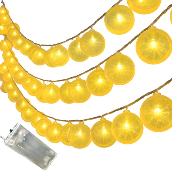 Lemon Slice Fairy String Lights, 5 Foot 10 Led Battery Operated Warm String Lights for Bedroom Party Home Decor
