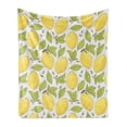 thumbnail image 1 of Lemon Soft Flannel Fleece Blanket, Lemonade Fruit and Leaves Doodle Fresh Along Citrus on a Muted Tone Backdrop, Cozy Plush for Indoor and Outdoor Use, 50" x 60", Green and Mustard, by Ambesonne, 1 of 6