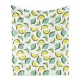 thumbnail image 1 of Lemon Soft Flannel Fleece Throw Blanket, Graphical Vibrant Fruit Scattered Natural Sour Juicy Items, Cozy Plush for Indoor and Outdoor Use, 60" x 80", Mint Green Charcoal Grey, by Ambesonne, 1 of 5