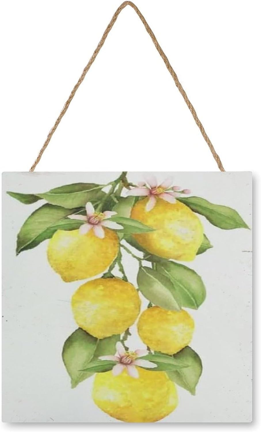 Lemon Summer Fruit Man Cave Lemon Kitchen Decor Accessories,Rustic