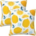 thumbnail image 1 of Lemon Throw Pillow Covers Set of 2 Soft Pillow Case Protectors with Zipper Standard Size Pillowcase Square for Bed, Sofa, Living Room, Outdoor (16"x16"), 1 of 6