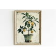 thumbnail image 1 of Lemon Tree Poster Vintage Floral Fruit Kitchen Wall Art, Unframed Canvas 8x10in, 1 of 4
