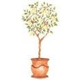 thumbnail image 1 of Lemon Tree Topiary Wall Stencil SKU #3286A by Designer Stencils, 1 of 1