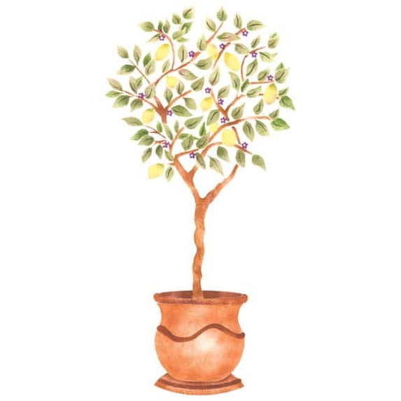 Lemon Tree Topiary Wall Stencil SKU #3286A by Designer Stencils