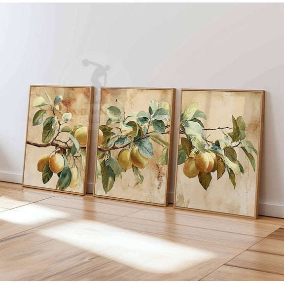 Lemon Tree Wall Art Prints Citrus Botanical Yellow Fruit Branch Kitchen Decor Set 3 Stretched Canvas 12x18