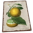 thumbnail image 1 of Lemon Vintage Illustration 9"x12" Metal Sign, Wall Decor for Porch, Patio, or Deck, 1 of 3