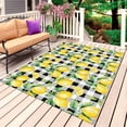 thumbnail image 1 of Lemon Yellow Outdoor Rug for Patio/Deck/Porch, Non-Slip Large Area Rug 3 x 5 Ft, Watercolor Fruit Black White Buffalo Plaid Indoor Outdoor Rugs Washable Area Rugs, Camping Rug Carpet Runner, 1 of 8