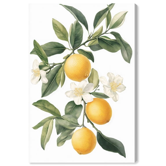 Lemon and Leaf Fusion II Canvas Vintage Prints by Art Remedy, Gallery Wrapped, 16" x 24"