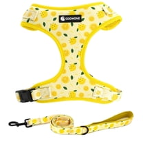Lemonade Print Dog Harness and Leash Set, Adjustable Dog Harness, Dog Leash, No Pull No Choke Puppy Harnesses for Walking