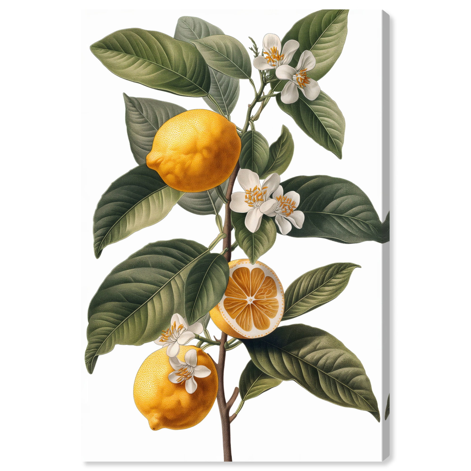 Lemon Grove Botanical Canvas Art in Green and Yellow, 24" x 16"