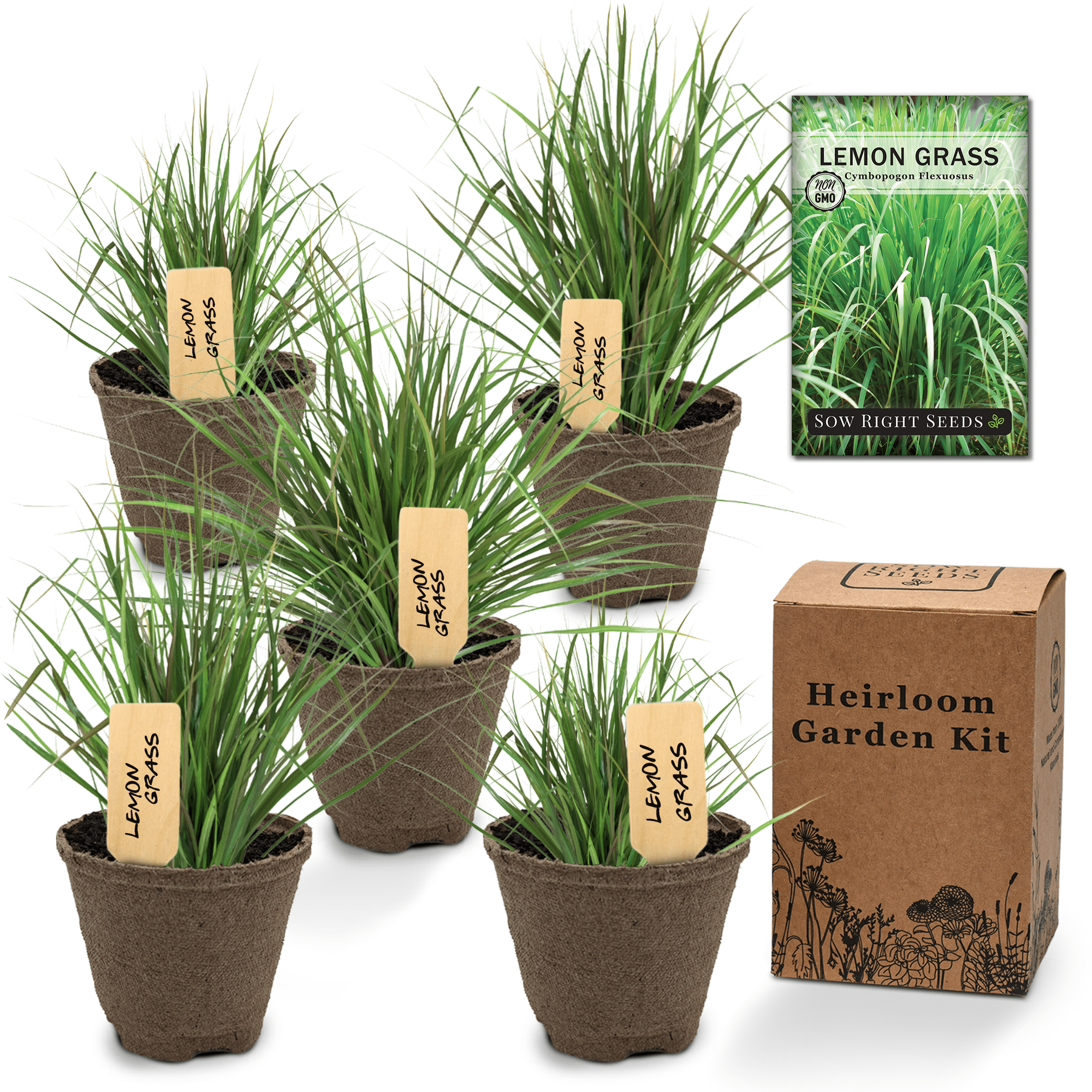 Lemongrass Garden Kit Grow Non GMO Lemongrass Plants at Home