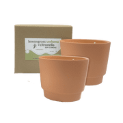 Lemongrass + Verbena Citronella Soy Candle 10oz 2 Pack, Best Bee Brothers