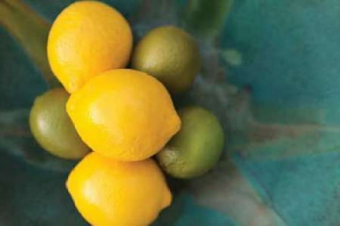 Lemons Canvas Art - Karyn Millet (12 x 18)