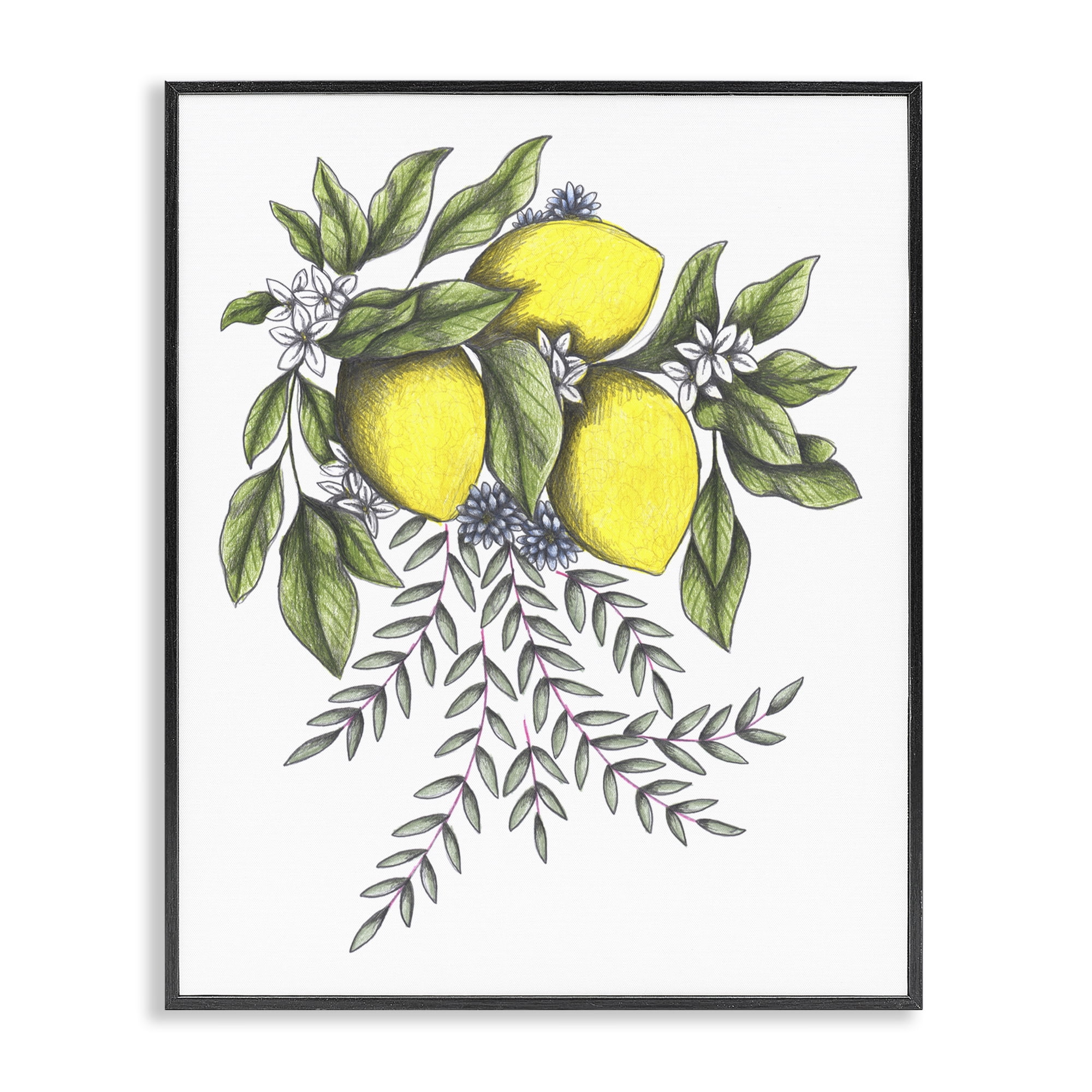 Lemons & Flowers Vintage Sketch Black Framed Giclee Art, design by Cecilia Battaini