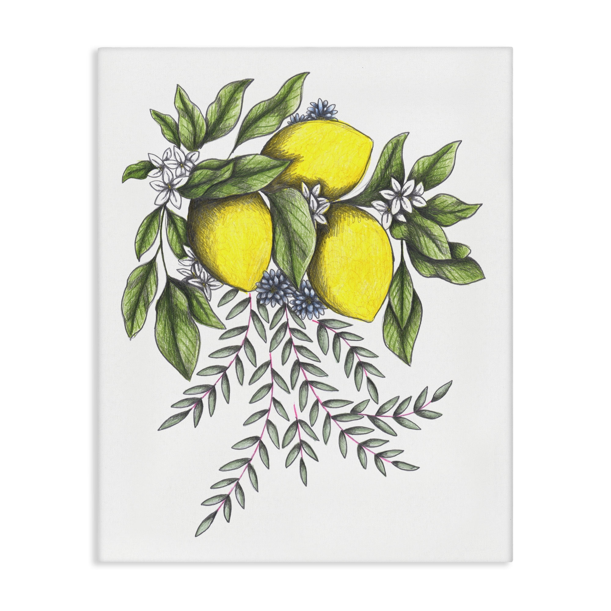 Lemons & Flowers Vintage Sketch Canvas Wall Art, design by Cecilia Battaini