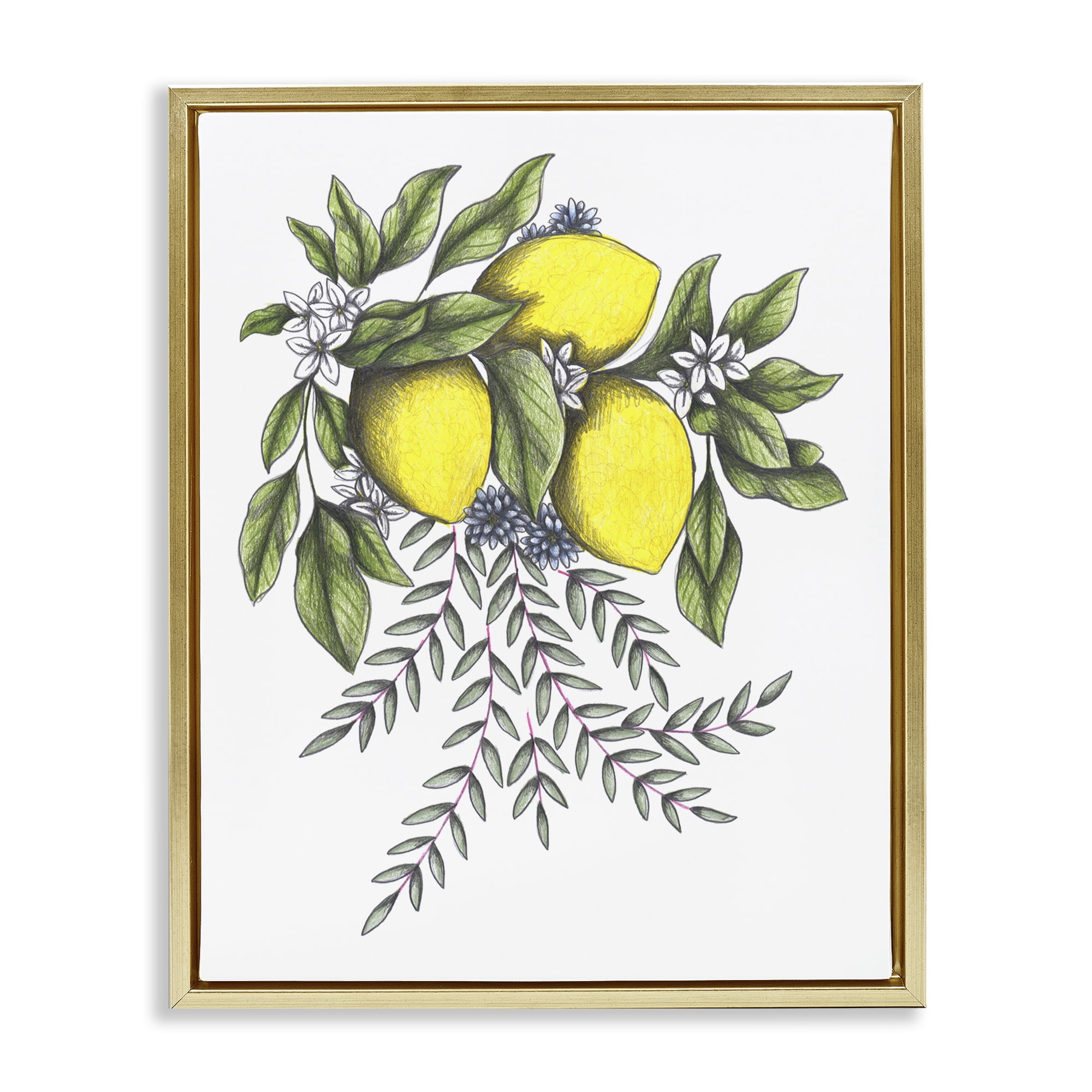 Lemons & Flowers Vintage Sketch Gold Framed Floater Canvas Wall Art, design by Cecilia Battaini