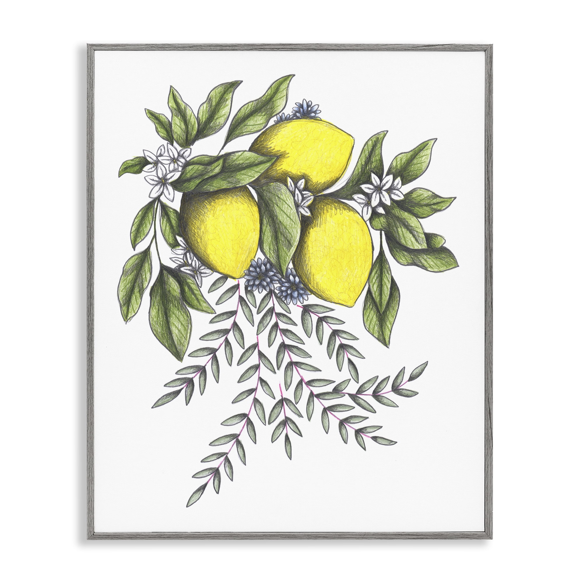 Lemons & Flowers Vintage Sketch Gray Framed Giclee Art, design by Cecilia Battaini