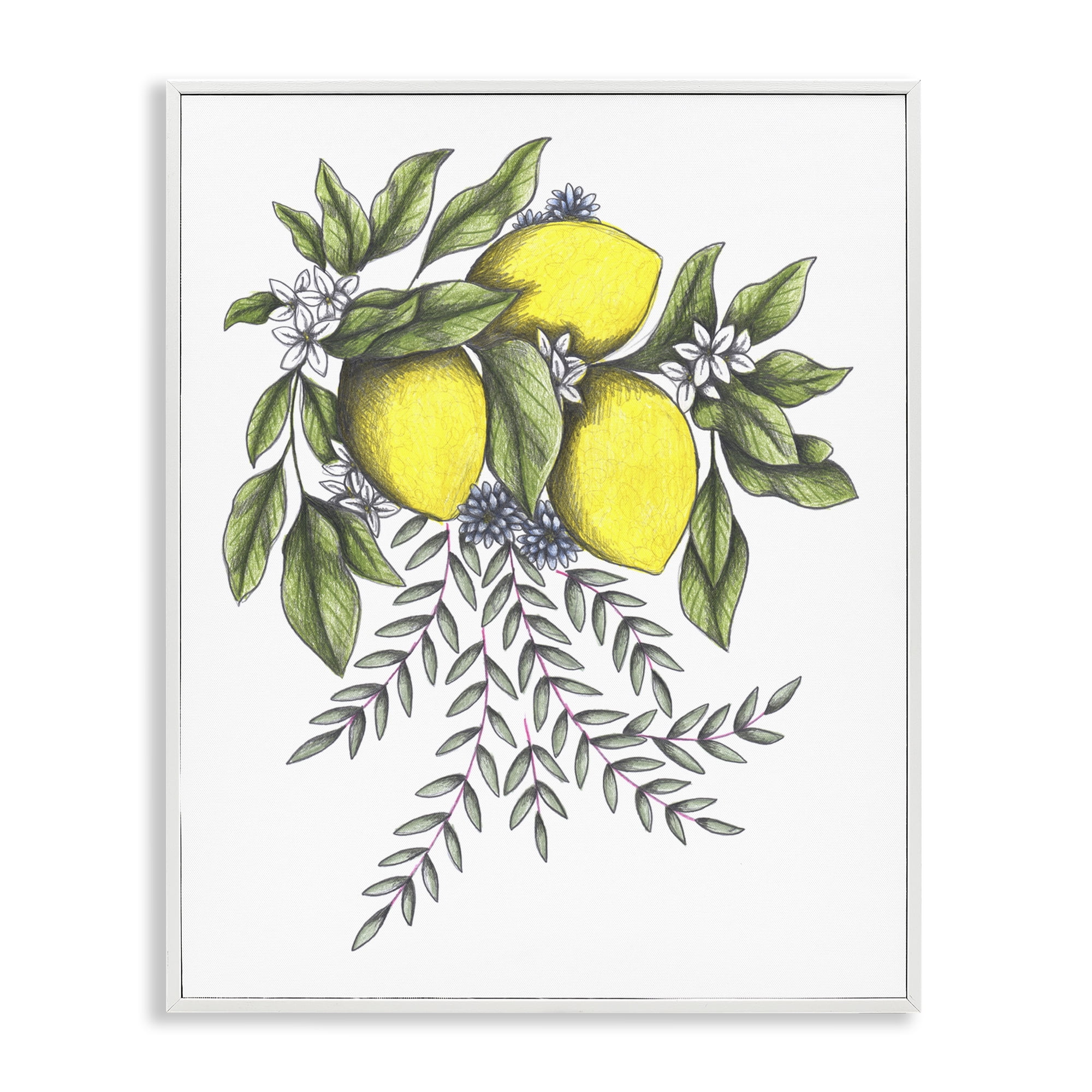 Lemons & Flowers Vintage Sketch White Framed Giclee Art, design by Cecilia Battaini