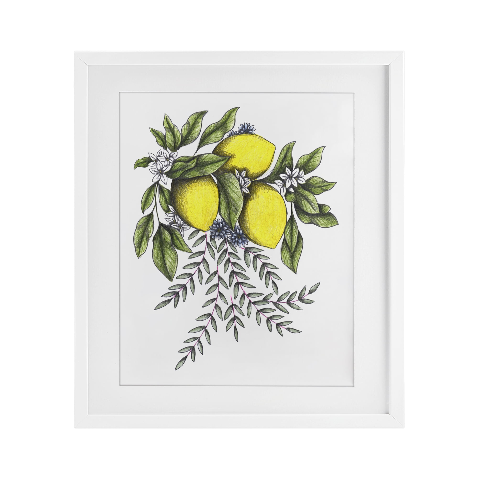 Lemons & Flowers Vintage Sketch White Framed Print Under Glass, design by Cecilia Battaini