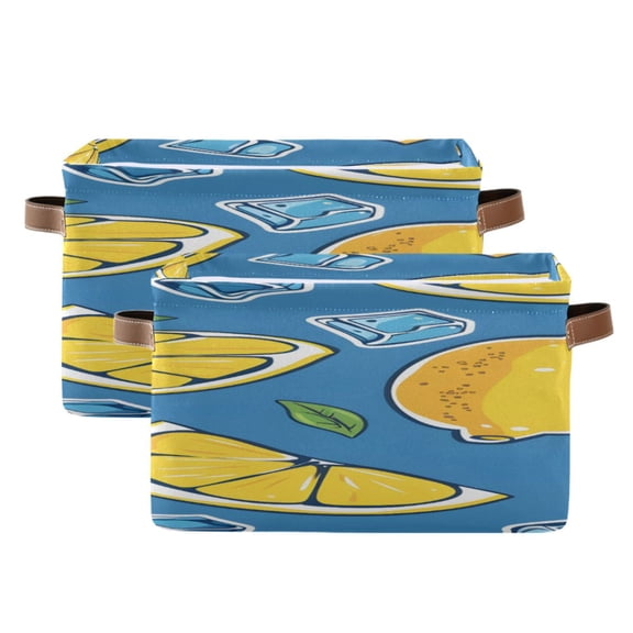 Lemons Ice Cubes Leaves Square Storage Bins with Handles Collapsible Containing Box 2 Packs