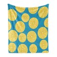 thumbnail image 1 of Lemons Soft Flannel Fleece Throw Blanket, Citrus Slices Simplistic Summer Theme Tasty Refreshing Pattern, Cozy Plush for Indoor and Outdoor Use, 60" x 80", Sea Blue Earth Yellow, by Ambesonne, 1 of 5