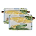 thumbnail image 1 of Lemons and Leaves Square Storage Bins with Handles Collapsible Containing Box 2 Packs, 1 of 9