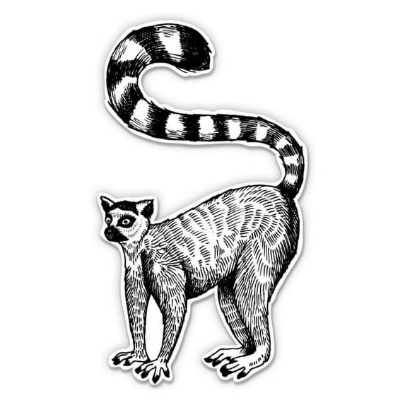 Lemur - 12" Vinyl Sticker Waterproof Decal