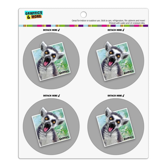 Lemur Selfie Picture Refrigerator Fridge Locker Vinyl Circle Magnet Set