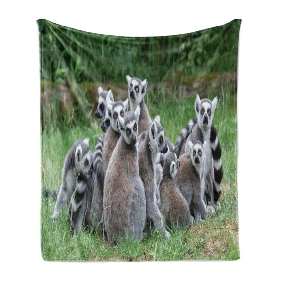 Lemur Soft Flannel Fleece Blanket, Photo of Madagascar Monkey Ring Tailed Flock of Exotic Animal in Nature, Cozy Plush for Indoor and Outdoor Use, 50" x 60", Pale Mauve Taupe Emerald, by Ambesonne