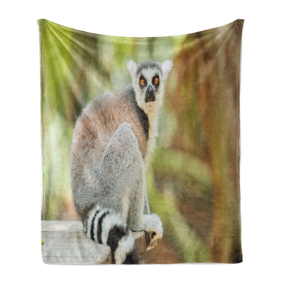 Lemur Soft Flannel Fleece Throw Blanket, Aperture Photo of Monkey Mammal Ring Tailed, Cozy Plush for Indoor and Outdoor Use, 50" x 70", Multicolor, by Ambesonne