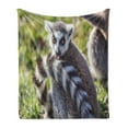 thumbnail image 1 of Lemur Soft Flannel Fleece Throw Blanket, Blurred Backdrop Photo of Ring Tailed Breed Animal with Funny Shocked Expression, Cozy Plush for Indoor and Outdoor Use, 50" x 70", Multicolor, by Ambesonne, 1 of 5