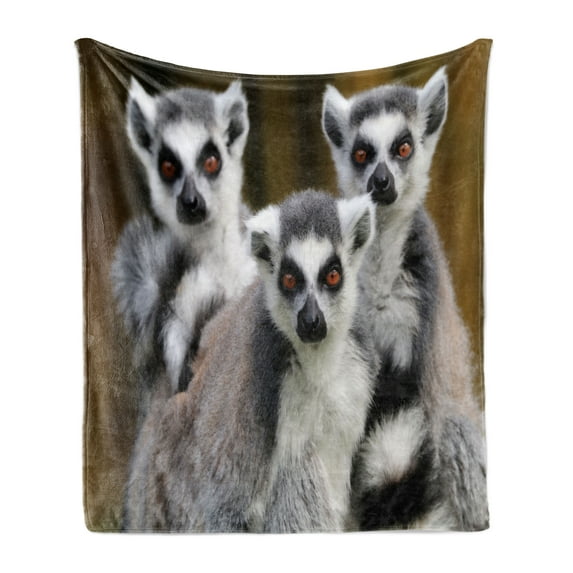 Lemur Soft Flannel Fleece Throw Blanket, Photo of 3 Ring Tailed Wild Animals Watching Carefully, Cozy Plush for Indoor and Outdoor Use, 50" x 60", Fawn Pale Mauve Taupe, by Ambesonne