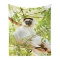 thumbnail image 1 of Lemur Soft Flannel Fleece Throw Blanket, Photo of Verreaux's Sifaka Endemic Monkey on Branch in Madagascar, Cozy Plush for Indoor and Outdoor Use, 60" x 80", Apple Green Multicolor, by Ambesonne, 1 of 5