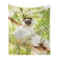 thumbnail image 1 of Lemur Soft Flannel Fleece Throw Blanket, Photo of Verreaux's Sifaka Endemic Monkey on Branch in Madagascar, Cozy Plush for Indoor and Outdoor Use, 70" x 90", Apple Green Multicolor, by Ambesonne, 1 of 5
