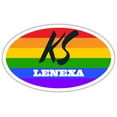 thumbnail image 1 of Lenexa KS Kansas Johnson County Rainbow Pride Flag 6 Stripes Pride Flag Euro Decal Bumper Sticker 3M Vinyl 3" x 5", 1 of 3