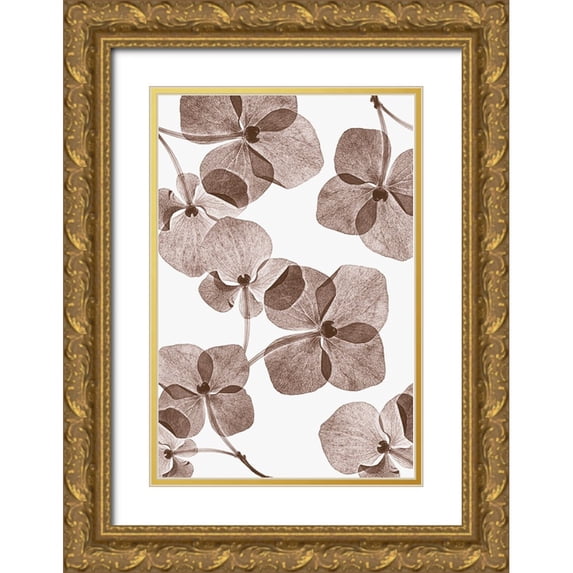 Lenka 11x14 Gold Ornate Wood Framed with Double Matting Museum Art Print Titled - Botanical 4