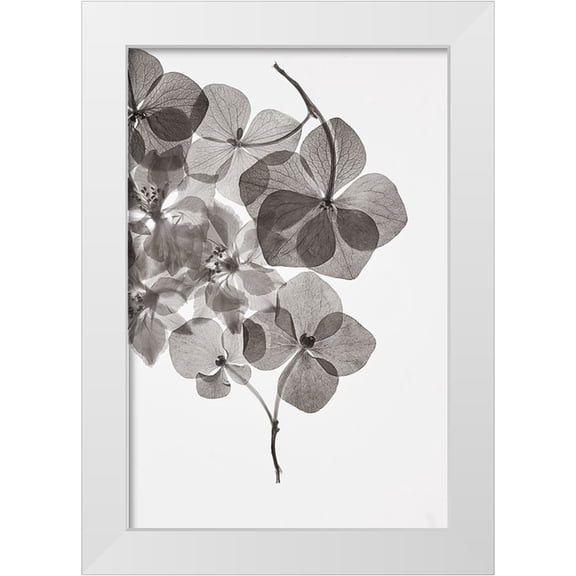 Lenka 11x14 White Modern Wood Framed Museum Art Print Titled - Botanical 24